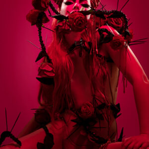 Small Format Juriji der Klee Roses