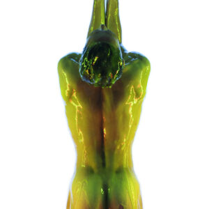 Large Format Maxime G